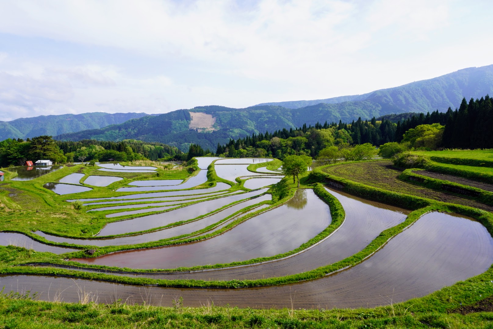 Bekku Rice Terraces featured on Popular Magazine